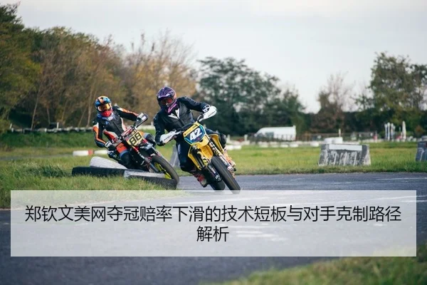 zheng-qin-wen-mei-wang-duo-guan-pei-lv-xia-hua-de-ji-shu-duan-ban-yu-dui-shou-ke-zhi-lu-jing-jie-xi-2-330.jpg